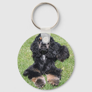 Porte-clés Cocker Spaniel Photo