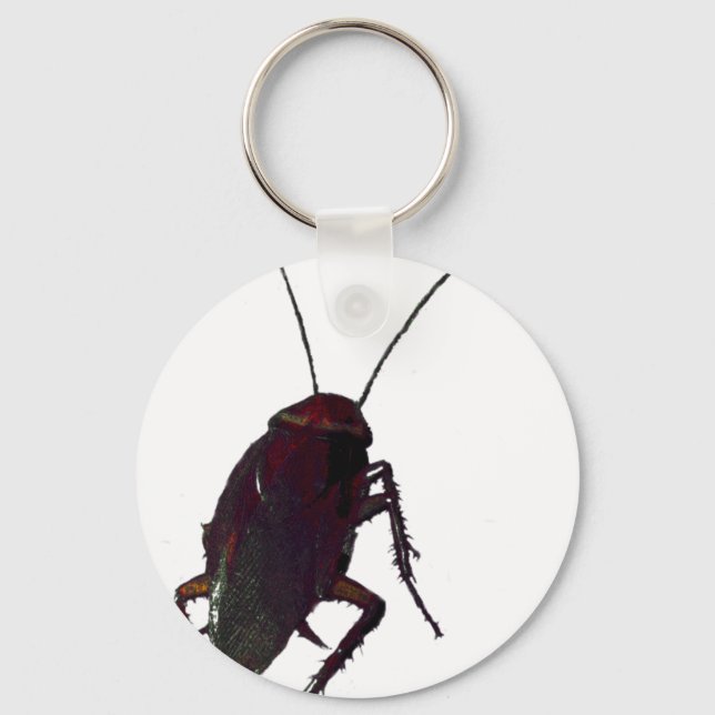 Porte-clés Cockroach croquant (Recto)