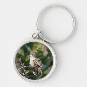 Porte-clés Colibri à gorge rubis #4Q7A5304