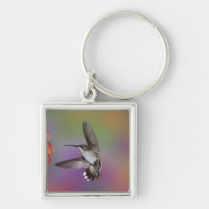 Porte-clés Colibri à gorge rubis femelle en vol