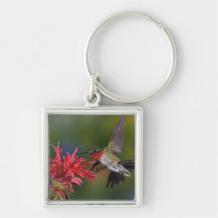 Porte-clés Colibri à gorge rubis mâle