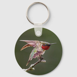 Porte-clés Colibri s'étire 
