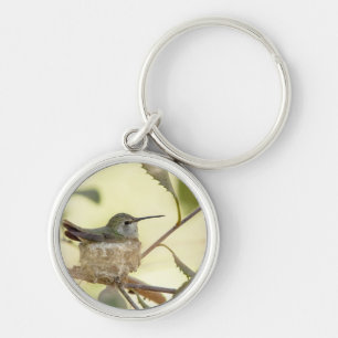 Porte-clés Colibri sur son nid