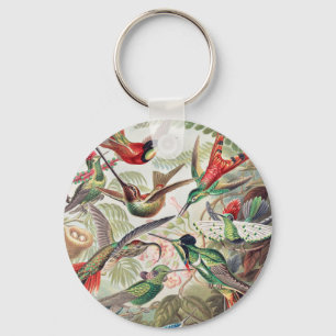 Porte-clés Colibri, Trochilidae Kolibris par Ernst Haeckel