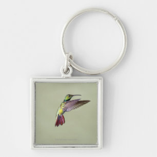 Porte-clés Colibri Vert-breasted Anthracocorax 2 de mangue