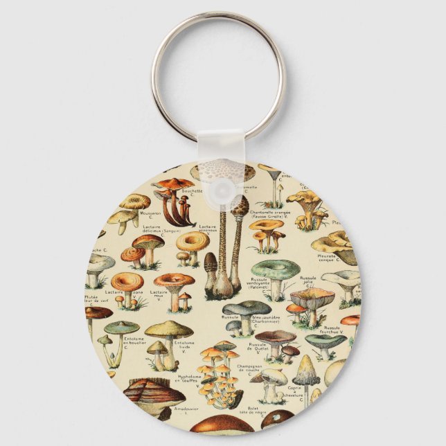 Porte-clés Collection de champignons (Recto)