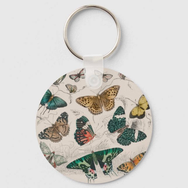 Porte-clés collection papillon aquarelle antique art beurre (Recto)