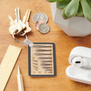 Porte-clés Comètes de Stanislaw Lubieniecki, Astronomie Vinta