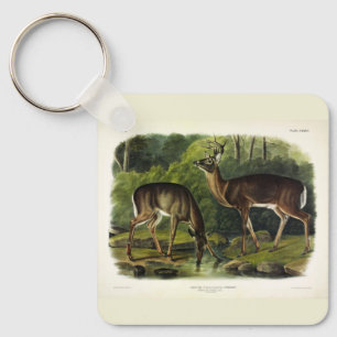 Porte-clés Common Deer