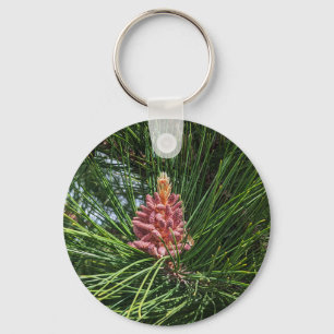Porte-clés Cône de pollen de pin rouge (Pinus resinosa)
