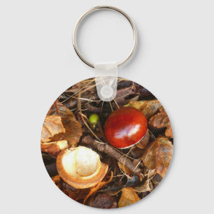 Porte-clés Conker and Seed Case Keychain