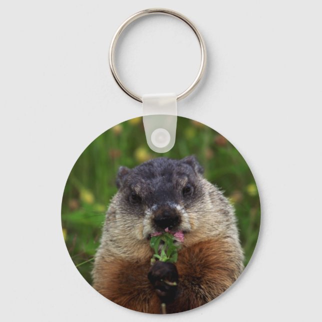 Porte-clés Consommation de marmotte de printemps (Recto)