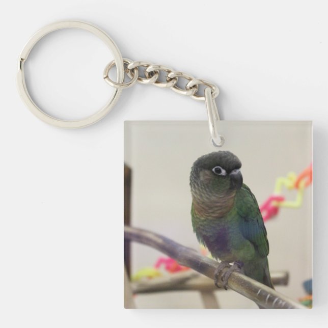 Porte-clés Conure (Devant)