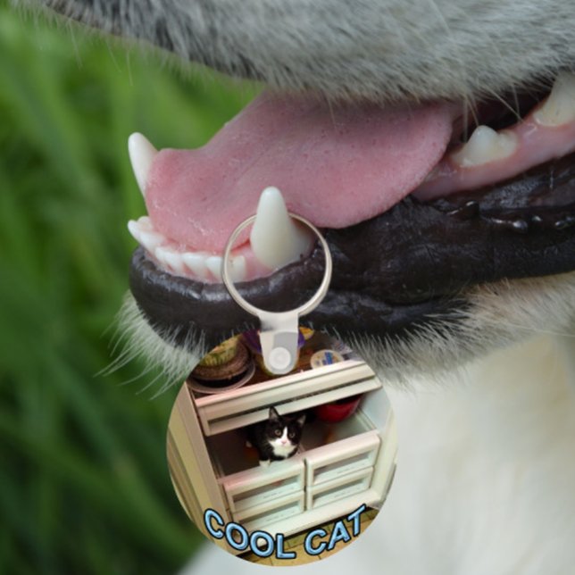 Porte-clés Cool Cat keychain (Créateur téléchargé)