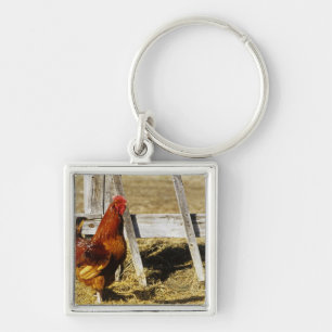 Porte-clés Coq Rhode Island Red