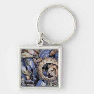 Porte-clés Coquillages, Le Cap, Cap occidental