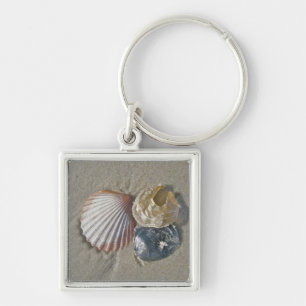 Porte-clés Coquillages sur le Beach Carte de visite
