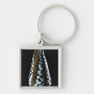 Porte-clés Coquille 2 de cône