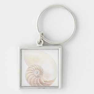 Porte-clés Coquille de Nautilus, plan rapproché
