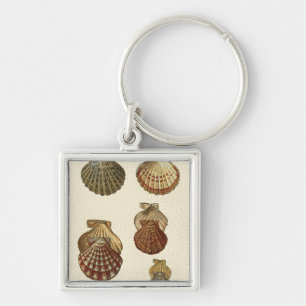 Porte-clés Coquilles antiques craquelées