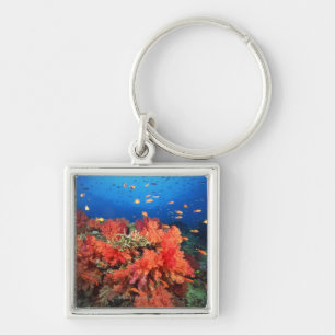 Porte-clés Corail et poissons