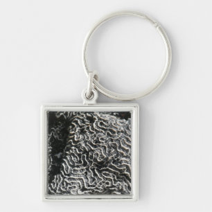 Porte-clés Corail noir et blanc I Abstrait Nature Photo