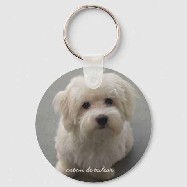 Porte-clés Coton de Tulear (Recto)