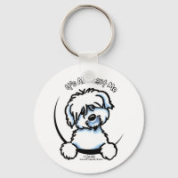 Coton de Tulear Tout sur moi