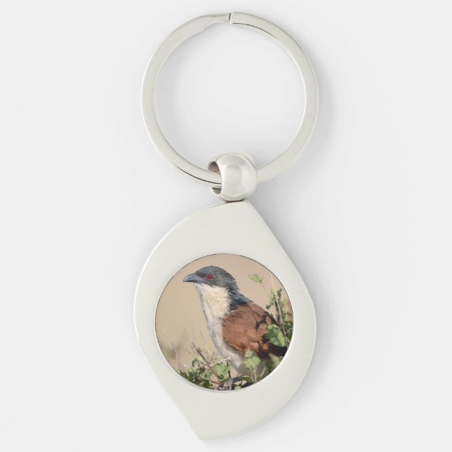 Porte-clés Coucal de Burchell (Devant)
