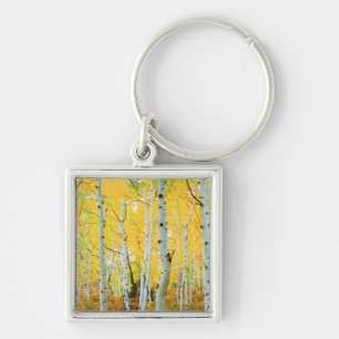 Porte-clés Couleurs automnales des arbres d'Aspen 1