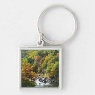 Porte-clés Couleurs d'automne au parc d'État d'Ohiopyle