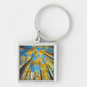 Porte-clés Couleurs d'automne des arbres Trembles 2