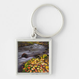 Porte-clés Couleurs d'automne le long du ruisseau McGee