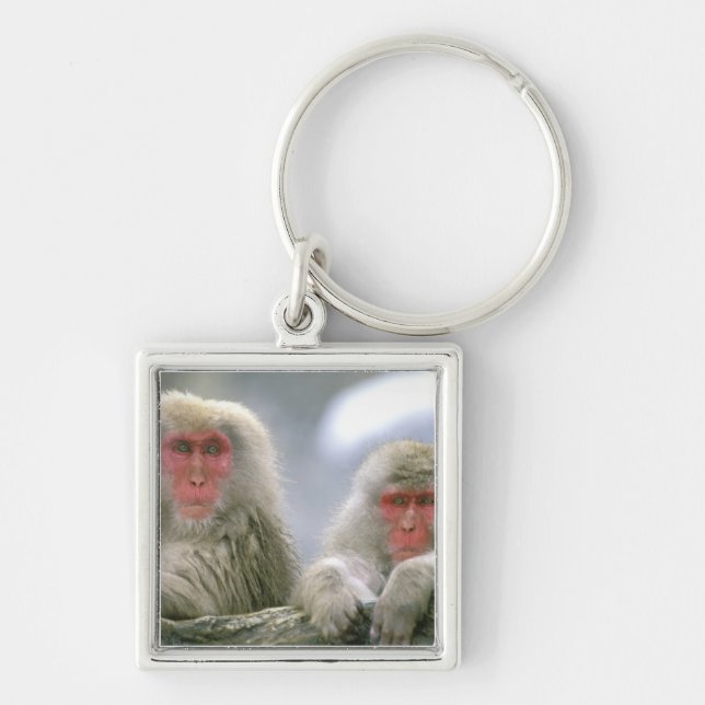 Porte-clés Couple de singe des neiges, Macaque japonais (Devant)