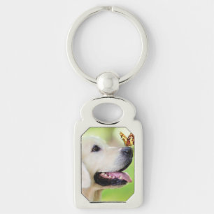 Porte-clés Coussin décoratif Labrador et papillon