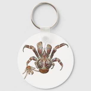 Porte-clés Crabe de cocotiers sauvage des Caraïbe