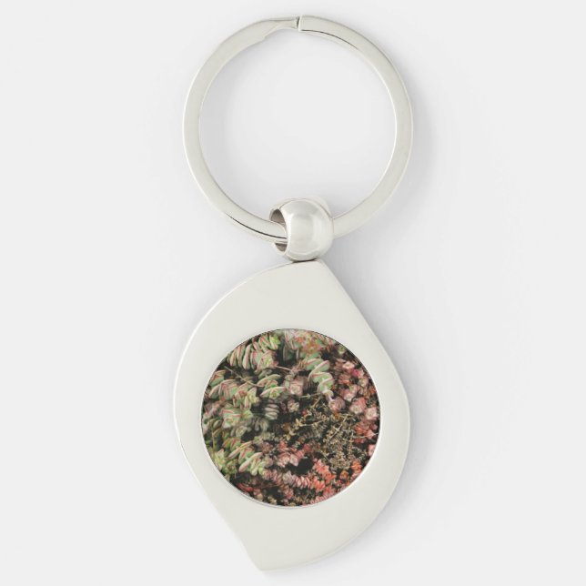 Porte-clés Crassula perforata (Devant)