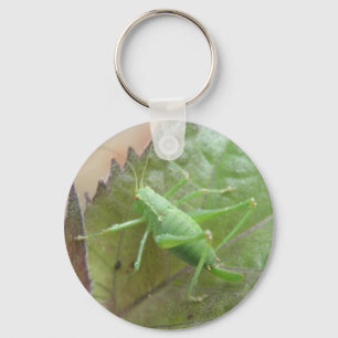Porte-clés Cricket vert sur un Porte - clé feuille
