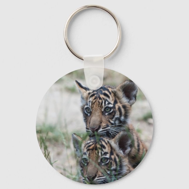 Porte-clés Cubes de tigre (Recto)