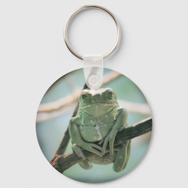 Porte-clés Cute grenouille verte assise sur une branche (Recto)