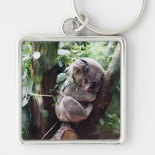Porte-clés Cute Koala Ours se relaxant dans un arbre (Devant)