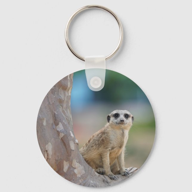 Porte-clés Cute Meerkat Sat sur arbre (Recto)