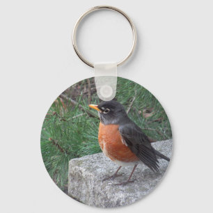 Porte-clés Cute Robin En Photo Jardin