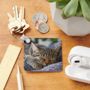 Porte-clés Cutest Baby Animals Tabby Kitten Sleeping