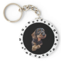 Dachshund Puppy Porte - clé photo
