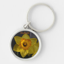 Daffodique jaune