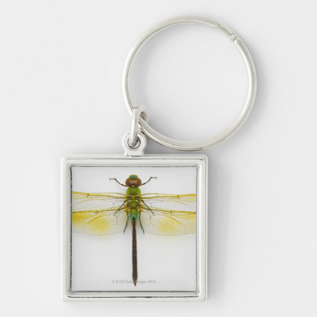 Porte-clés Darner vert (junius d'Anax) sur l'arrière - plan (Devant)
