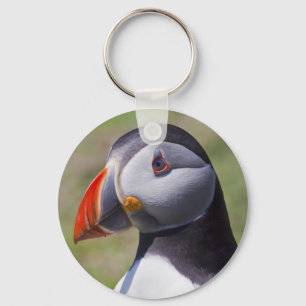 Porte-clés de portrait de macareux