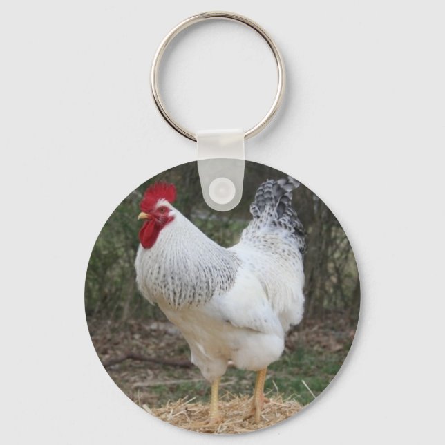 Porte-clés Delaware Rooster Elvis (Recto)