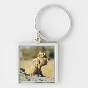 Porte-clés Delta d'Okavango, Botswana 2